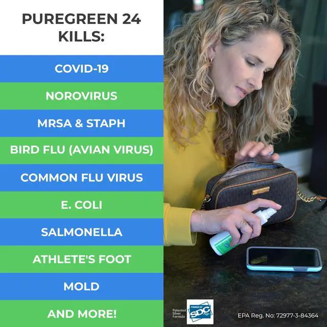 Alt view image 2 of 7 - PURE GREEN 24 Safe & Effective Disinfectant. Kills Deadly Germs including RSV COVID-19 Norovirus MRSA Staph 2026 flu Bird flu Contains no toxic chemicals odorless child & pet safe 1 4oz spray bottle