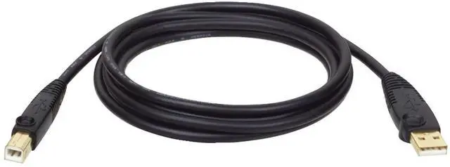 Main image of Tripp Lite USB 2.0 High-Speed Cable, Type-A to Type-B (M/M), 6-ft. (U022-006)