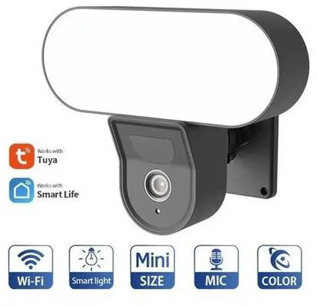 Main image of WiFi Yard Light Security Camera Motion-Activated LED Light, Two-Way Audio, 1080P, Outdoor, Night Vision, Mobile Remote