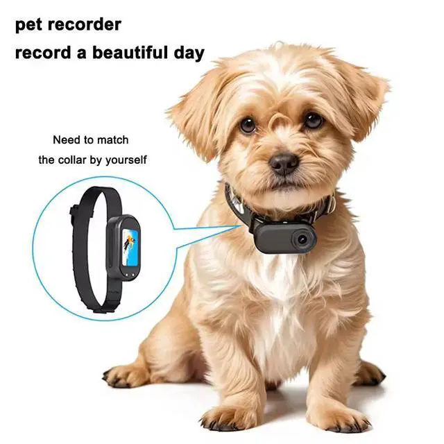 Alt view image 2 of 6 - DM10 Outdoor Thumb Camera, 1080P HD Magnetic Wearable Recorder 35g Ultra-Light, Magnetic Charging Case (350-800mAh), 3H Battery, Pet Camera, Action Cam Hat Clip + Collar Included