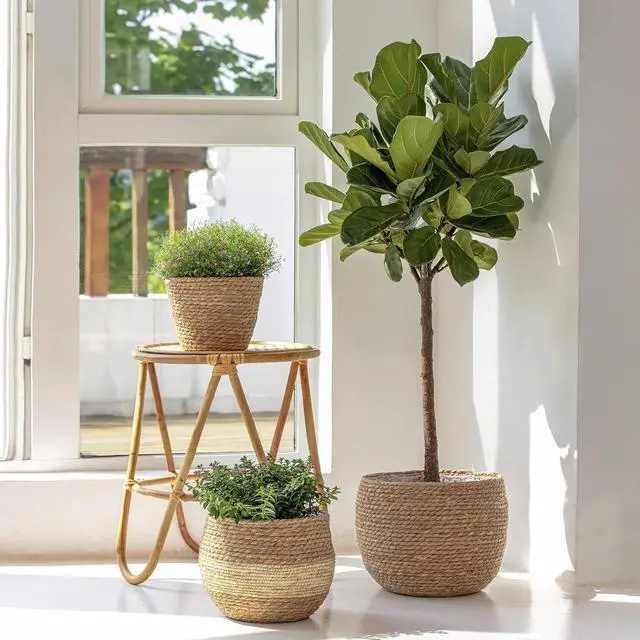 Alt view image 3 of 6 - Natural Seagrass Large Planter, Plant Pots Cover, Indoor Planters Flower Pots, 13.5+12+9 inch Pack 3
