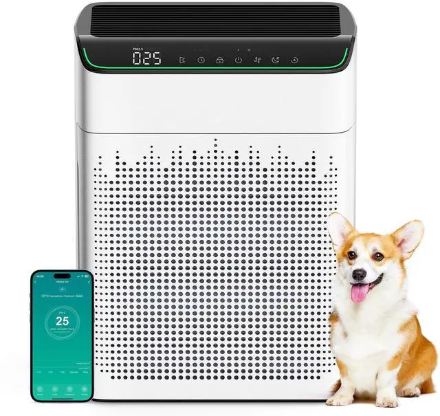 Main image of Air Purifiers for Home Large Room Up to 1690 ft² with PM 2.5 Air Quality Monitor WiFi and Alexa compatible Double-sided Air Inlet for Smoke and Odor 1 Pack+2 Pack HEPA Filters White