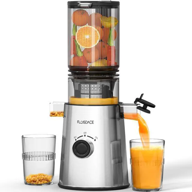 Main image of Cold Press Juicer, Masticating Juicer with Large Feed Chute Fit Whole Fruits & VegetablesStainless Steel Slow Masticating Juicer Easy to Clean, 99.6% Juice Purity, Metallic Silve