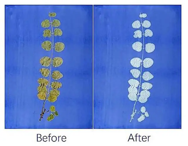 Main image of 90 Sheets Sun Print Paper Kits Cyanotype Paper Kit A4 Nature Printing Solar For Kids Adults DIY Art Crafts Project