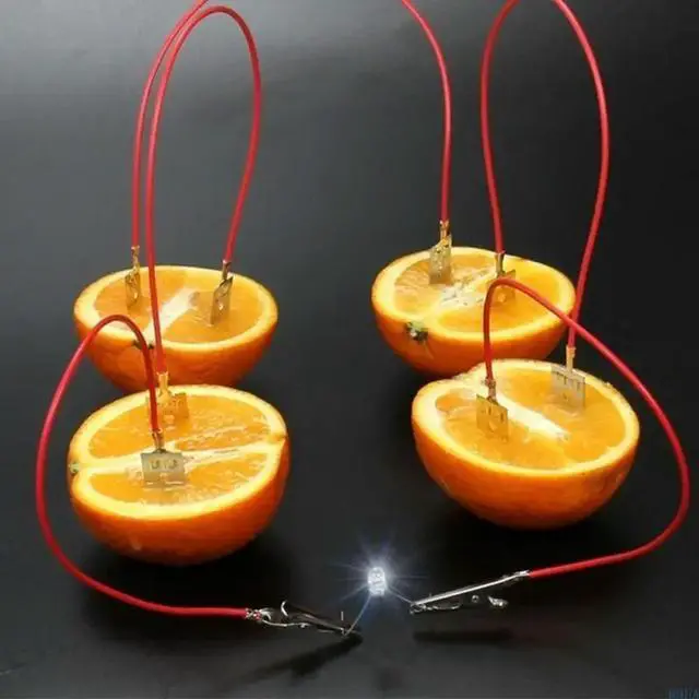 Main image of Fruit Power Generation Experiment Hands on Assembly Toy Fruit Powered