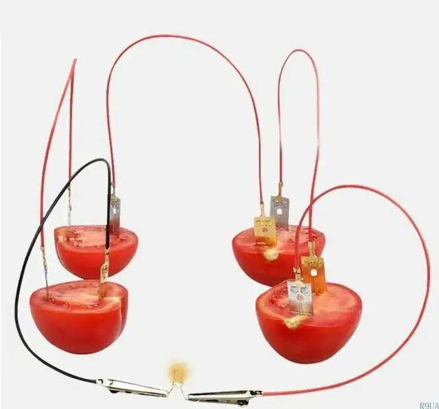 Alt view image 4 of 6 - Fruit Power Generation Experiment Hands on Assembly Toy Fruit Powered