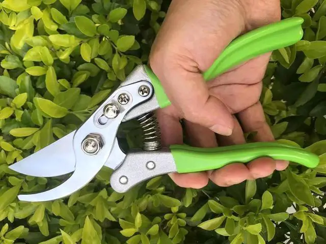 Alt view image 3 of 7 - Garden Shears, Japanese Pruning Shears for Heavy Duty, Flowers Herbs Grapes Plant and Branch Cutters, Clippers, Trimmers, Scissors (Green) Green -