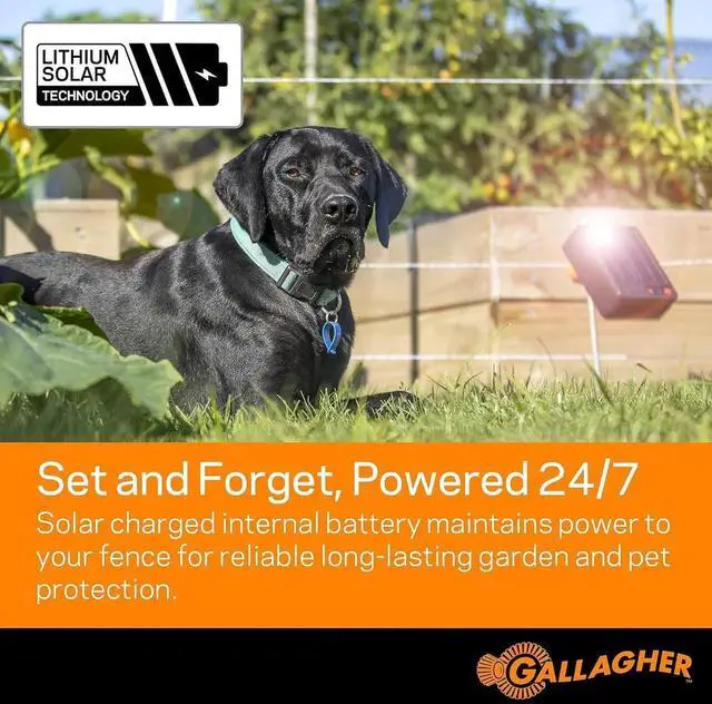 Alt view image 2 of 6 - S6 Solar Electric Fence Charger | Solar Fence Energizer for Gardens, Chickens, Goats, and Pets | Solar-Powered Fence Charger with Lithium Battery | Mounts Directly to Grounding Rod