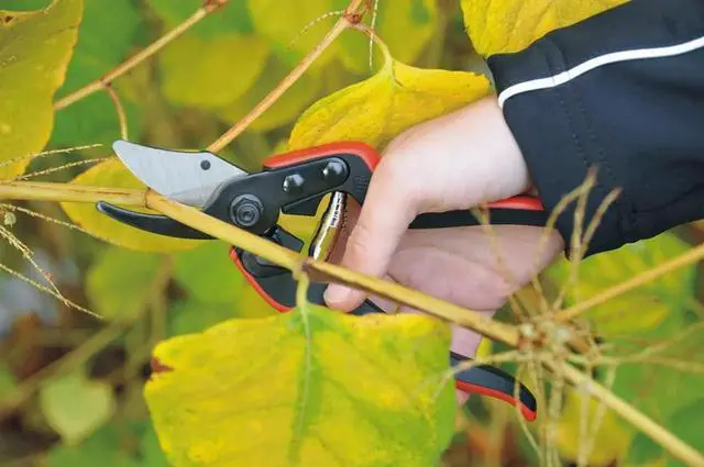 Alt view image 3 of 7 - Pruning Shears (F 160S) - High Performance Swiss Made One-Hand Garden Pruner with Steel Blade w/ Composite Fiber Handle Red