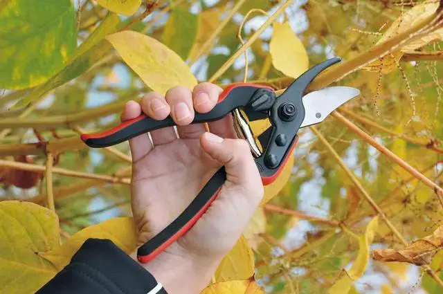 Alt view image 6 of 7 - Pruning Shears (F 160S) - High Performance Swiss Made One-Hand Garden Pruner with Steel Blade w/ Composite Fiber Handle Red