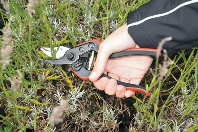 Alt view image 7 of 7 - Pruning Shears (F 160S) - High Performance Swiss Made One-Hand Garden Pruner with Steel Blade w/ Composite Fiber Handle Red