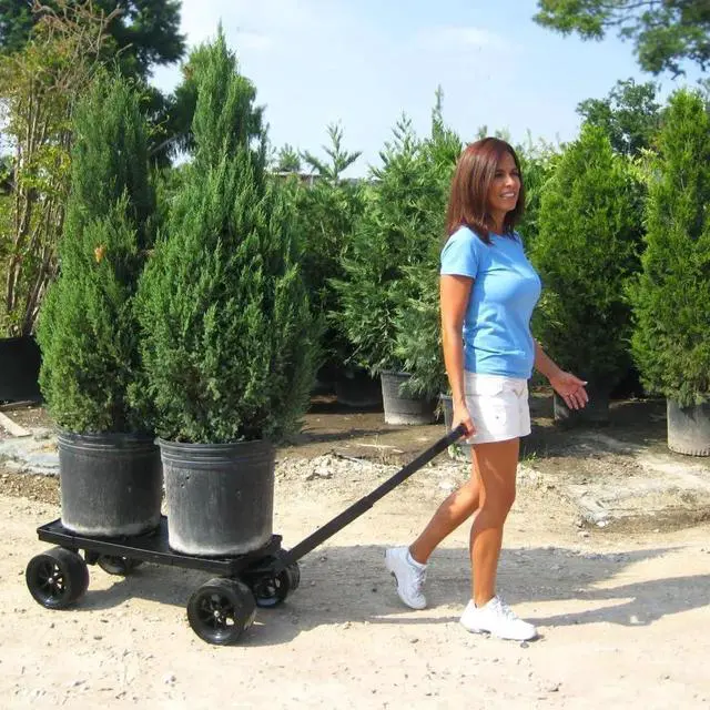 Alt view image 5 of 7 - Platform Hand Truck & Moving Dolly, Black - 250 lb Capacity (Flatbed Only) 100% USA Made