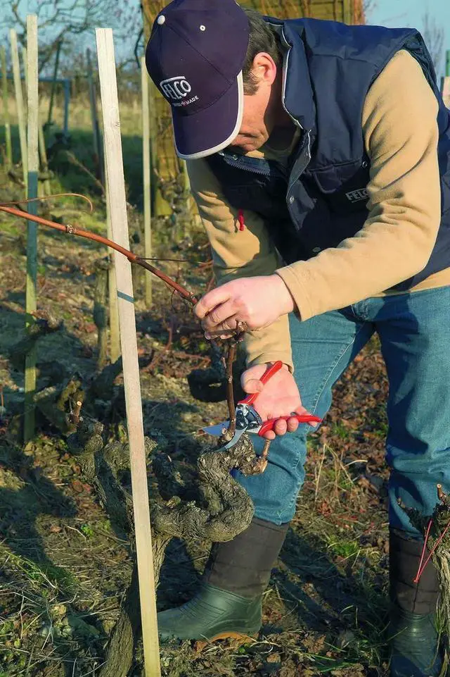 Alt view image 2 of 3 - Pruning Shears (F 11) - High Performance Swiss Made One-Hand Garden Pruner with Steel Blade Red F 11