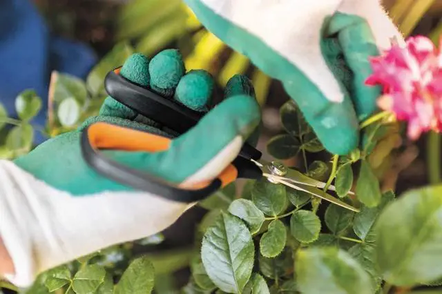 Alt view image 2 of 3 - Solid Snip Pruning Shears SP15, Length: 23,8cm, Steel Blades/Plastic Handle, Black/Orange, 1051602 Orange/Black -