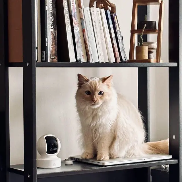 Alt view image 3 of 3 - Kasa Indoor Pan/Tilt Smart Security Camera, 1080p HD Dog-Camera,2.4GHz with Night Vision,Motion Detection for Baby and Pet Monitor, Cloud & SD Card Storage, Works with Alexa& Google Home (EC70), White