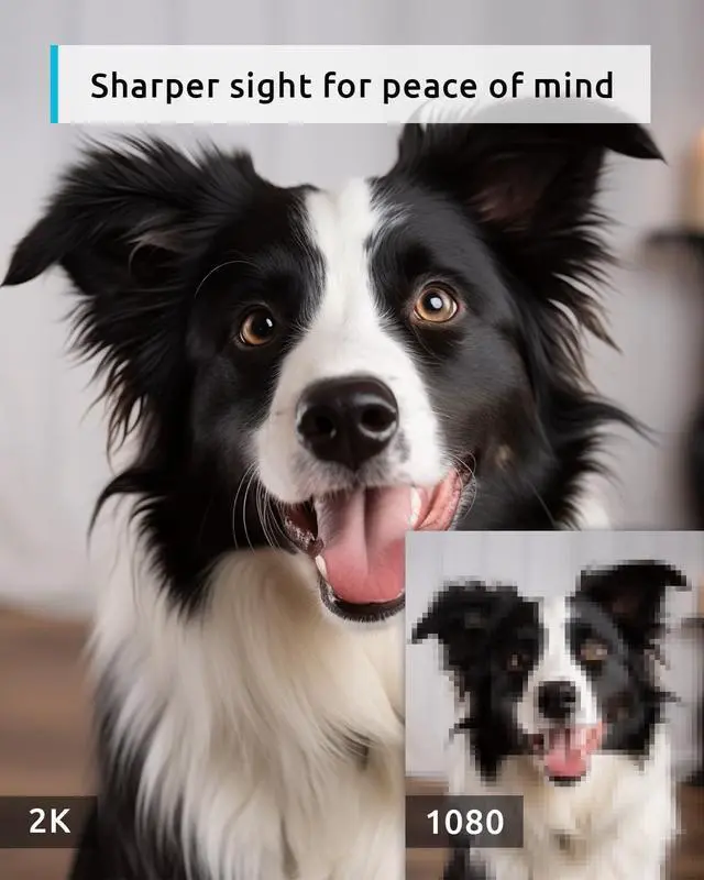 Alt view image 2 of 7 - blurams 5G Pet Camera 2K, 360° PTZ Dog Camera with Phone App, Indoor Cameras for Home Security w/Dual-Band WiFi6, 2-Way Audio, Motion Tracking, Color/IR Night Vision, Siren, Cloud&SD