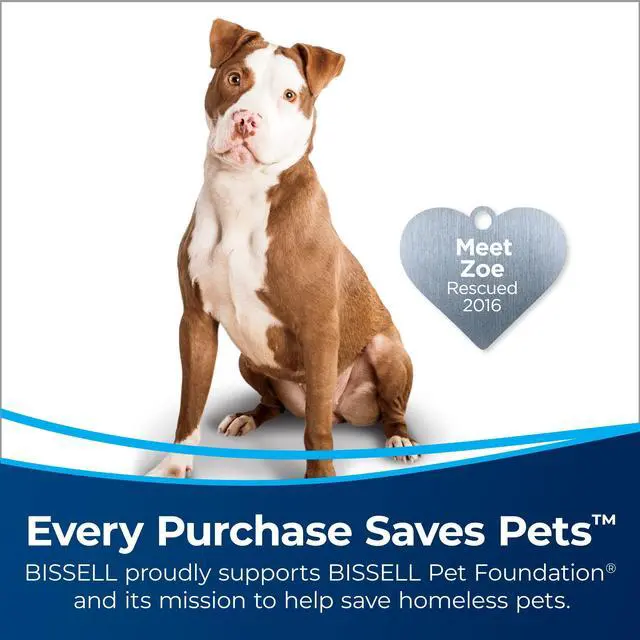 Alt view image 3 of 7 - bissell 2252 cleanview swivel upright bagless vacuum with swivel steering, powerful pet hair pick up, specialized pet tools, large capacity dirt tank, easy empty