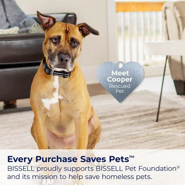 Alt view image 6 of 6 - Bissell CleanView Swivel Rewind Vacuum with Automatic Cord Rewind, TurboEraser Upholstery Tool, Triple Action Brush Roll, Swivel Steering, Extension Wand, Easy-Empty Dirt Tank, Multi-Cyclonic Suction