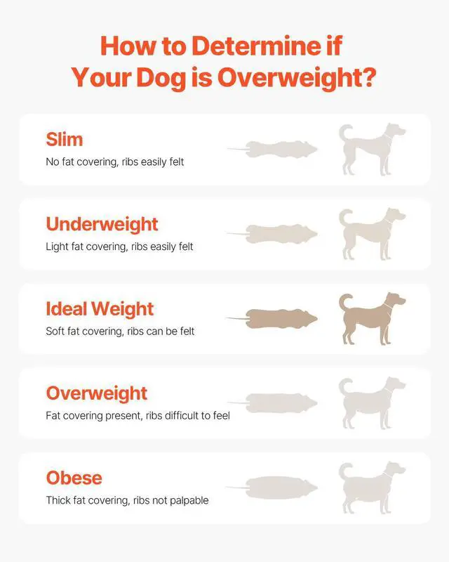 Alt view image 8 of 8 - Dog Treadmill for Medium Dogs up to 220 lbs Indoor Pet Running Machine