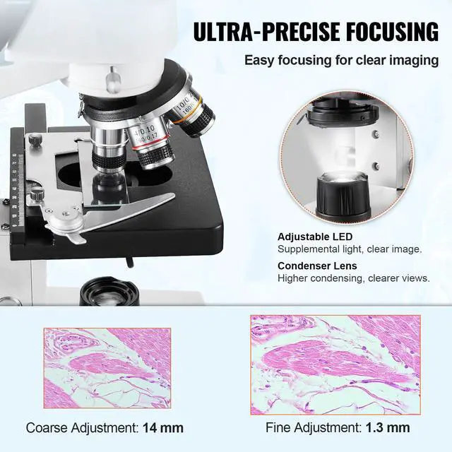 Alt view image 10 of 14 - VEVOR Compound Trinocular Microscope, 40X-5000X Magnification Trinocular Compound Lab Microscope with Two-Layer Mechanical Stage, External Interface, LED Illumination and Microscope Slides Included