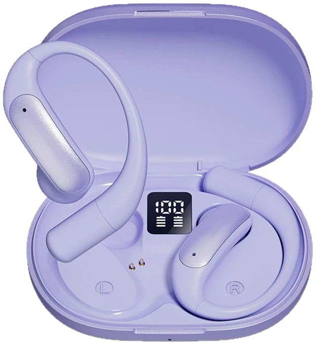 Main image of ROEL-PLAY in-Ear Ear-Clip Style Earbuds LED Digital Display, Purple