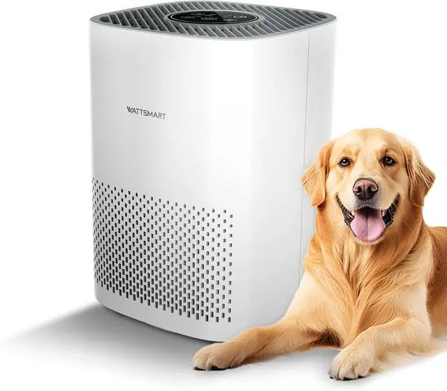 Main image of Portable Air Purifiers for Home Covers Up to 1076 ft², Quiet H13 True HEPA Filter Air Cleaner for Bedroom with Sleep Mode & Night Light, Remove Pets Hair Dust Allergies Pollen Smoke Odor
