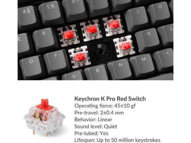 Alt view image 2 of 7 - Keychron K10 Full Size Layout RGB Backlit Hot-Swappable Mechanical Gaming Keyboard for Mac Windows, Multitasking 104-Key Bluetooth Wireless/USB Wired Computer Keyboard with K Pro Red Switch