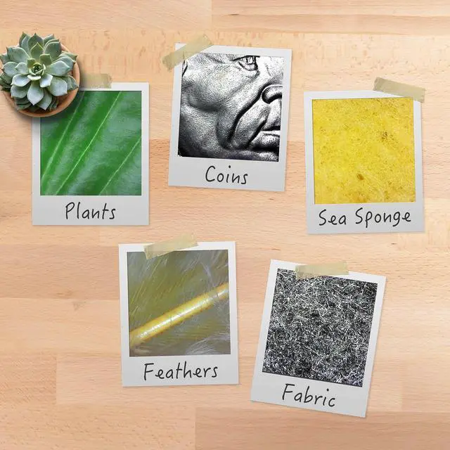 Alt view image 6 of 7 - USB Digital Microscope 250x, 2MP Micro Camera with Flexible Arm Stand - Handheld USB & USB-C Microscope for Adults & Kids, Windows, Mac, ChromeOS, Linux, Android, iPad Compatible