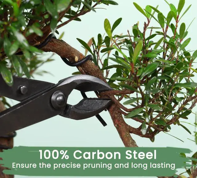 Alt view image 3 of 6 - Bonsai Tools Set with Wood Box 12PCS Heavy Duty Bonsai Tree Kit, Trimming Scissor Shears, Concave Cutter, Wire Rolls, Wire Cutter and More, Gardening Pruning & Care Kit