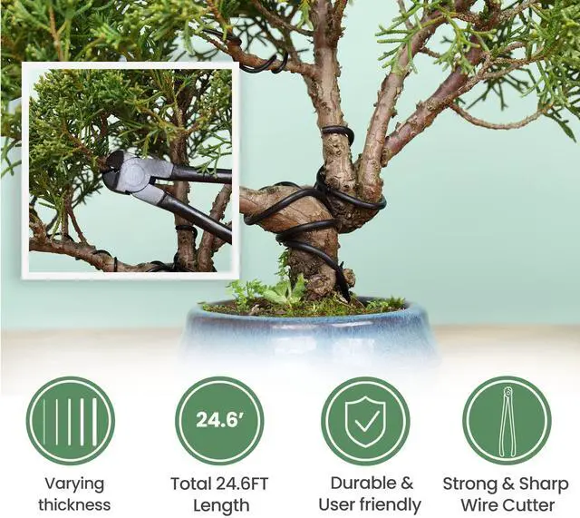 Alt view image 5 of 6 - Bonsai Tools Set with Wood Box 12PCS Heavy Duty Bonsai Tree Kit, Trimming Scissor Shears, Concave Cutter, Wire Rolls, Wire Cutter and More, Gardening Pruning & Care Kit