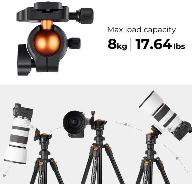 Alt view image 4 of 6 - 64 inch/163 cm Camera Tripod,Lightweight Travel Outdoor DSLR Tripods with 360 Degree Ball Head Load Capacity 17.6 lbs/8 kg,Cellphone Clip for Smartphone Live Streaming Vlog O234A1+BH-36