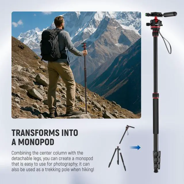 Alt view image 6 of 7 - Basics Camera Tripod Monopod, 77" Compact Lightweight Travel DSLR Video Stand, 360° Ball Head, Arca Type QR Plate, Reversible Legs & Inverted Central Axis, 13lb Max Load, TP08