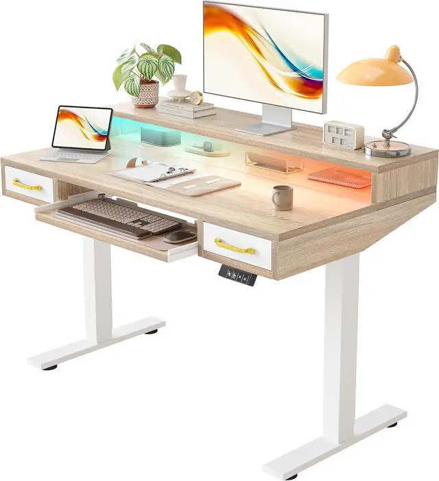 Main image of TIQLAB 47 x 28 Inch Height Adjustable Electric Standing Desk with Double Drawers&Keyboard Tray, Stand Up Desk with LED Strips&Monitor Stand, Maple