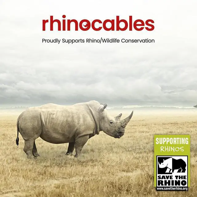 Alt view image 6 of 7 - rhinocables CAT 6 High-Speed Gigabit Ethernet Cable - Patch Network Lead for LAN| Snagless UTP with LSZH Jacket | RJ45 Connector - Internet, Router, Modem, Smart TV, PC & More (80ft, Black)