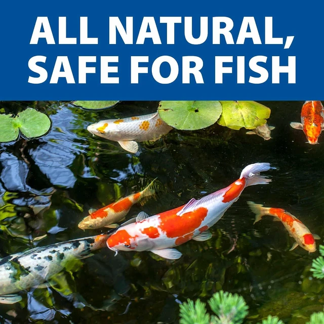 Alt view image 6 of 7 - The Pond Guy LiquidClear Beneficial Bacteria Pond Cleaner, 1 Gallon