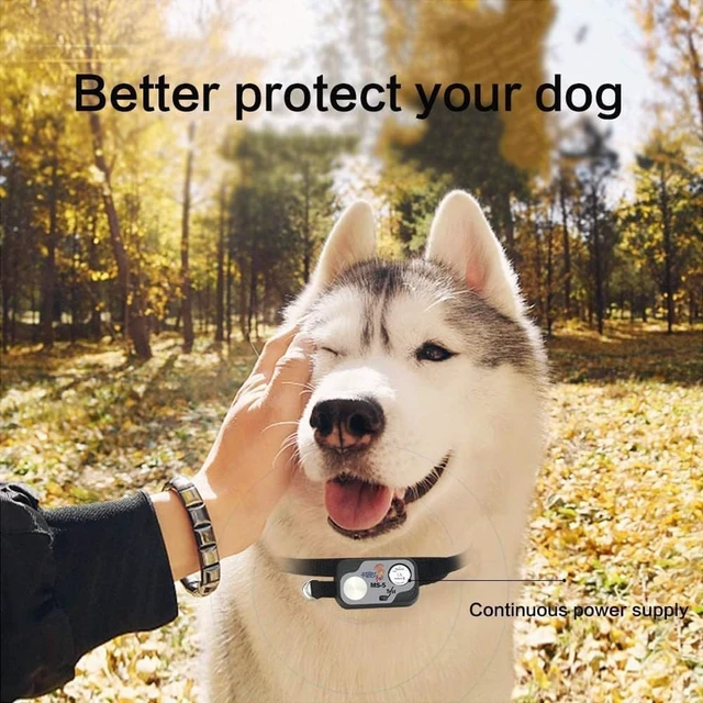 Alt view image 7 of 7 - Abeden 3V 1A Replacement Batteries for High Tech Pet MS-4 & MS-5 Electronic Collar, 6 Pack