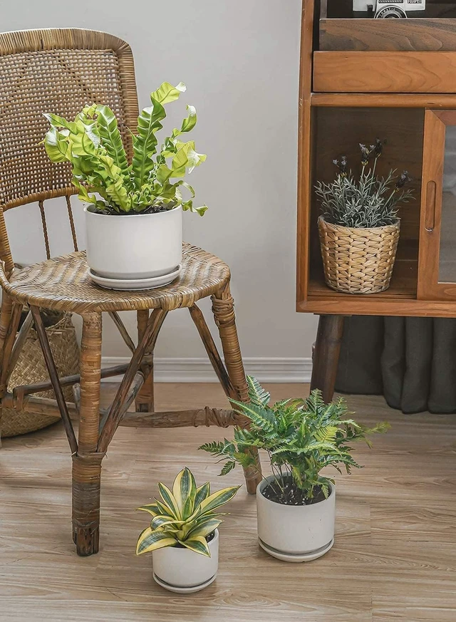 Alt view image 2 of 7 - LE TAUCI Ceramic Pots for Plants, 4.3+5.3+6.8 Inch, Set of 3, White