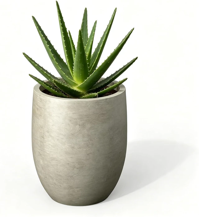 Main image of Kante 11.8" Tall Round Concrete Planter, Modern Curved Design Plant Pot