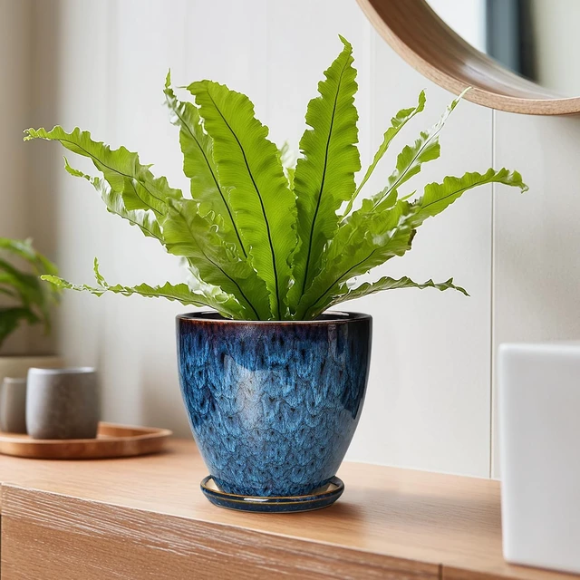 Alt view image 3 of 7 - 6 Inch Plant Pot - Ceramic Pots for Plants with Drainage Hole and Saucer, Ceramic Planters for Indoor Plants Outdoor, Decorative Round Planter, Room Home Decor, Gifts for Plant Lovers, Blue