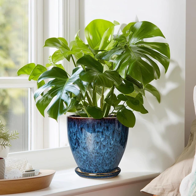 Alt view image 7 of 7 - 6 Inch Plant Pot - Ceramic Pots for Plants with Drainage Hole and Saucer, Ceramic Planters for Indoor Plants Outdoor, Decorative Round Planter, Room Home Decor, Gifts for Plant Lovers, Blue