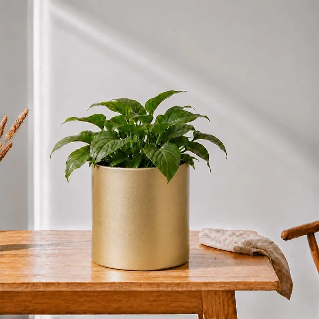 Alt view image 5 of 7 - Gold Metal Plant Pot with Drainage Hole, 7 Inch Mid Century Modern Small Pot Indoor Outdoor Planters for Succulents, Flowers & Home Decor Gift Window Living Room Bedroom, Plant Not Include