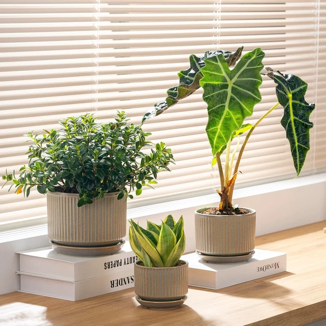 Alt view image 2 of 7 - Ceramic Plant Pots Set of 3, 4.3+5.5+6.8 Inch Indoor Outdoor Planters with Drainage Hole and Saucer, Ceramic Flower Pots for Indoor Plants, Home, Garden, Patio and Office, Matte Grey