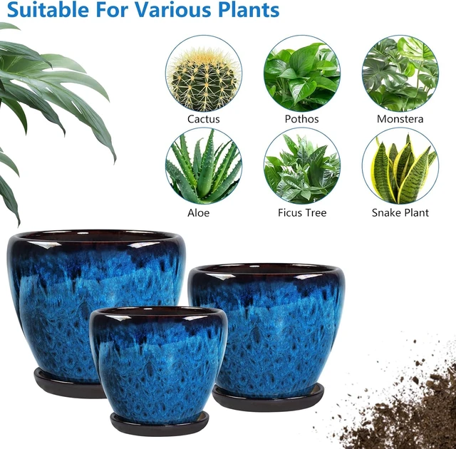 Alt view image 6 of 7 - Ceramic Plant Pots With Saucer & Drainage Hole, 6 inch Indoor Flower Pots