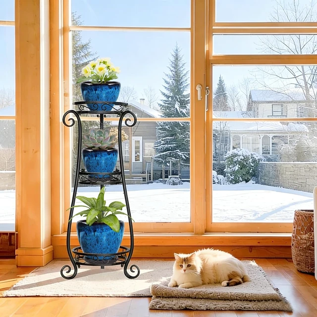 Alt view image 7 of 7 - Ceramic Plant Pots With Saucer & Drainage Hole, 6 inch Indoor Flower Pots