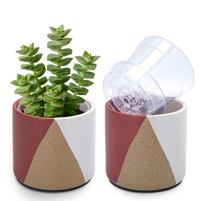 Main image of D'vine Dev 2-Pack Cachepot with Clear Pot, 4.5 in, Crimson Dune, 93-V-B-4