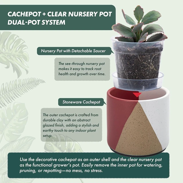 Alt view image 4 of 7 - D'vine Dev 2-Pack Cachepot with Clear Pot, 4.5 in, Crimson Dune, 93-V-B-4