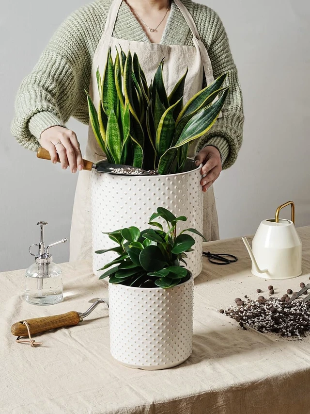 Alt view image 2 of 6 - LE TAUCI 10+8+6 Inch Ceramic Pots for Plants, Indoor Planters with Drainage Hole and Plug, Raised Dots Cylinder Flower Pots Set of 3 for Living Room and Bedroom, Glossy, Arctic White