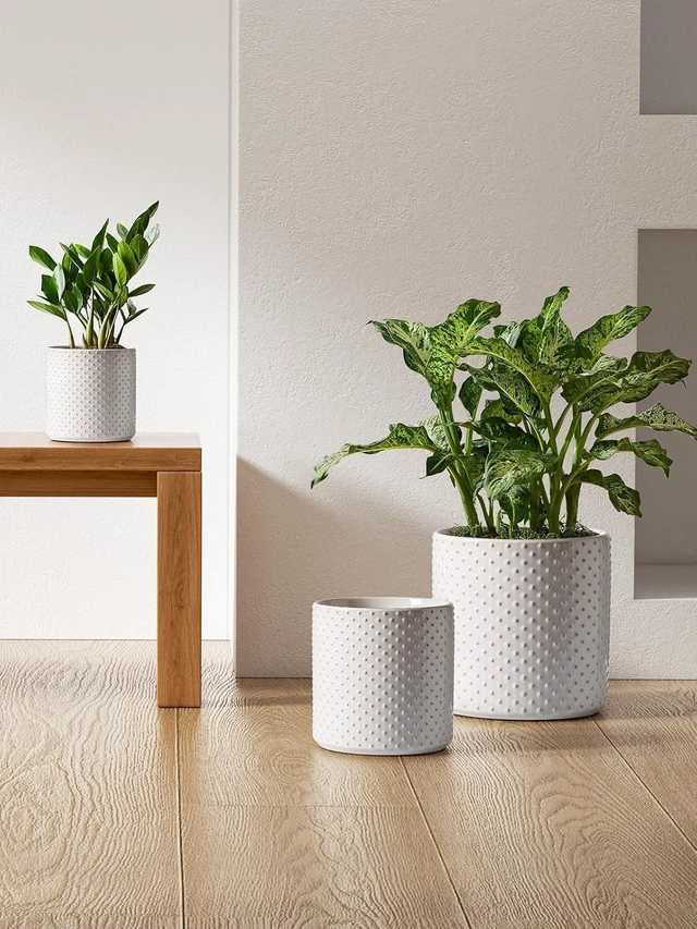 Alt view image 3 of 6 - LE TAUCI 10+8+6 Inch Ceramic Pots for Plants, Indoor Planters with Drainage Hole and Plug, Raised Dots Cylinder Flower Pots Set of 3 for Living Room and Bedroom, Glossy, Arctic White