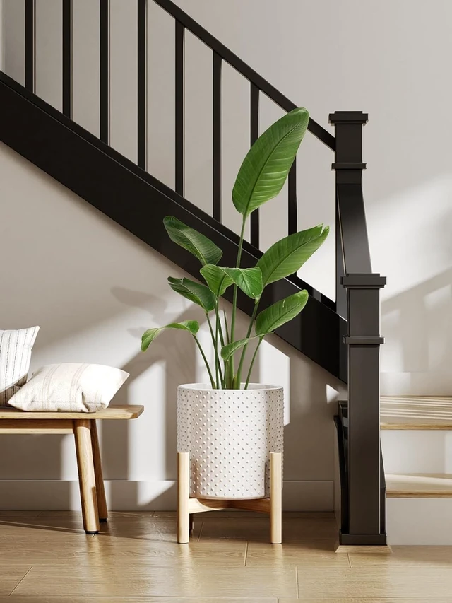 Alt view image 4 of 6 - LE TAUCI 10+8+6 Inch Ceramic Pots for Plants, Indoor Planters with Drainage Hole and Plug, Raised Dots Cylinder Flower Pots Set of 3 for Living Room and Bedroom, Glossy, Arctic White
