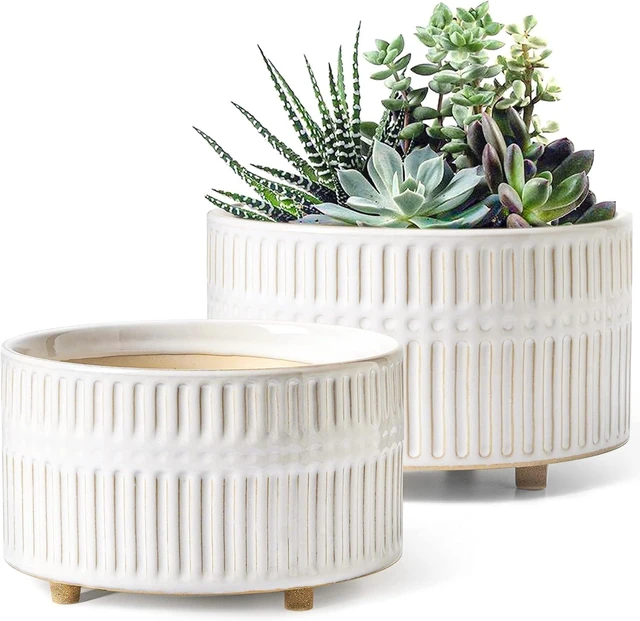 Main image of LE TAUCI Succulent Planters, 6.5+8 Inch Ceramic Indoor Plant Pot with Drainage Hole, Shallow Round Succulent Pots, Set of 2, Reactive Glaze White